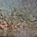 تصاویر زیبا از شب مریخ