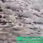 تصویر پلنگ ایران در منطقه Sabzkuhuh