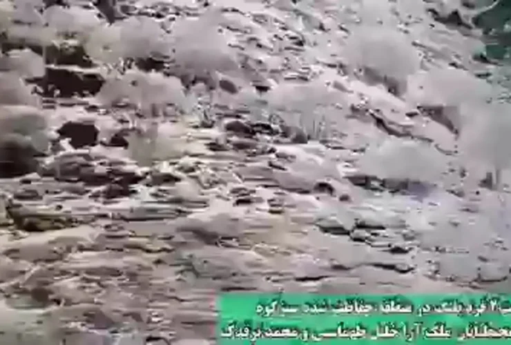 تصویر پلنگ ایران در منطقه Sabzkuhuh
