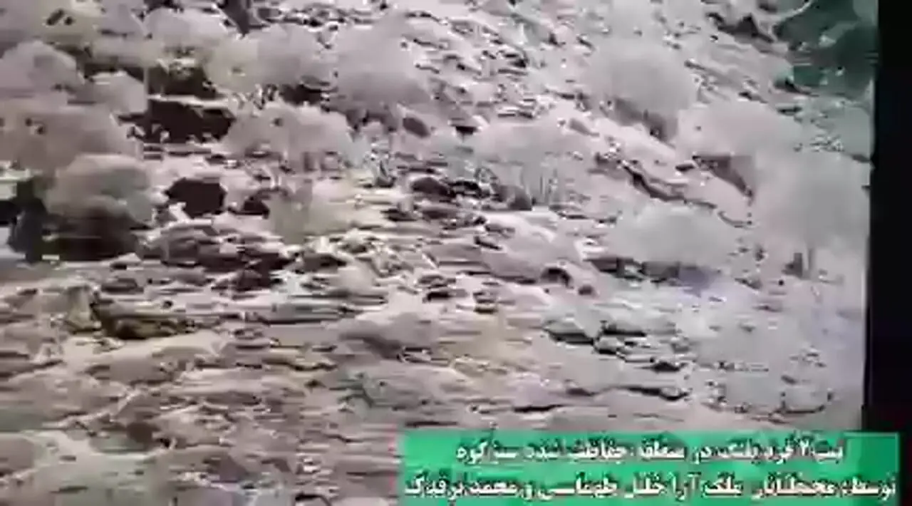 تصویر پلنگ ایران در منطقه Sabzkuhuh