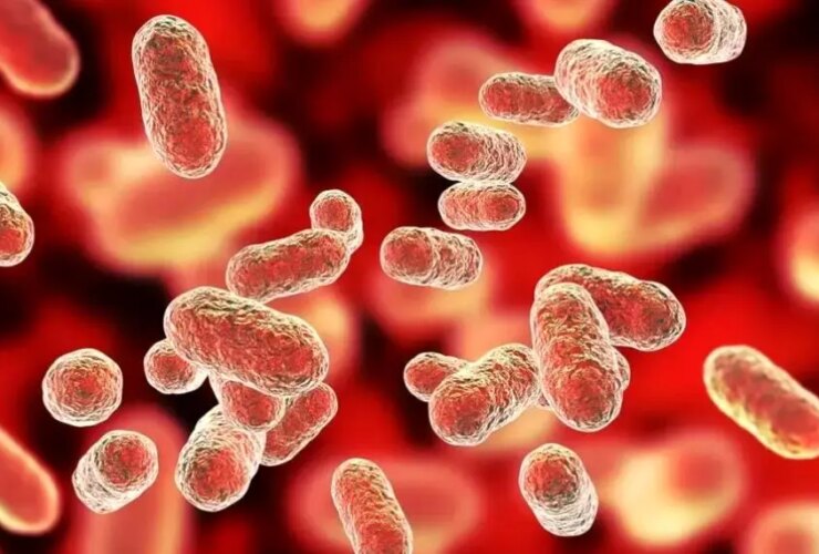 خطر ابتلا به سرطان لوزالمعده با برخی میکروب های خوراکی