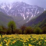 دیدنی ترین روستاهای اطراف تهران برای یک سفر روزانه