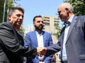 رئیس یا سرور ؛ مهدی تاج هیچ چیز نیست