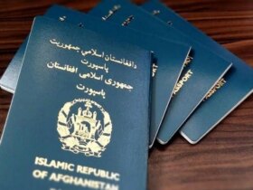 راز تمدید غیرقانونی گذرنامه شهروندان خارجی را توضیح دهید