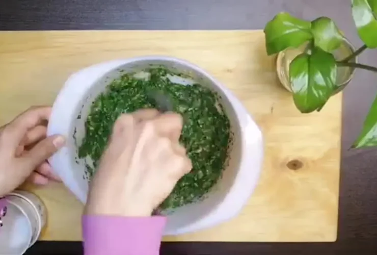 راز تهیه یک سبزیجات خانگی خوشمزه کوکو