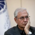 ربینی: فقط دولت نمی تواند جامعه را ادامه دهد