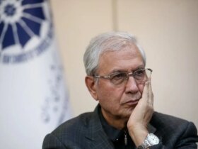 ربینی: فقط دولت نمی تواند جامعه را ادامه دهد