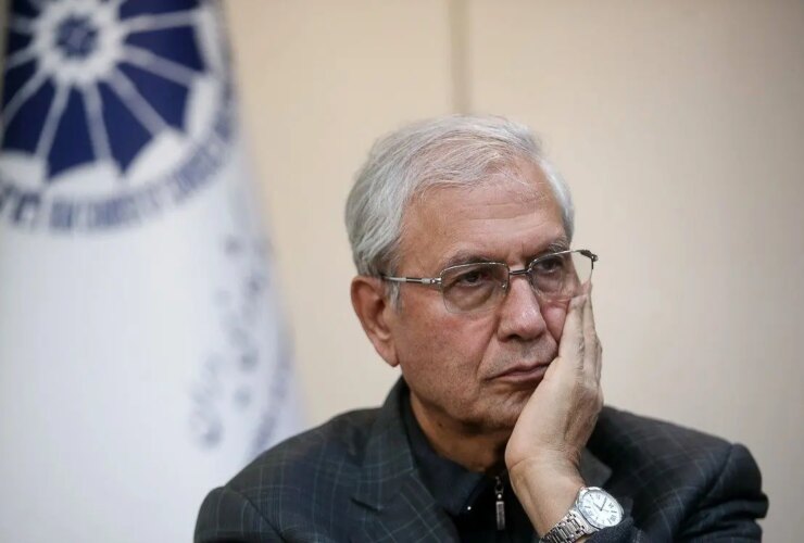 ربینی: فقط دولت نمی تواند جامعه را ادامه دهد
