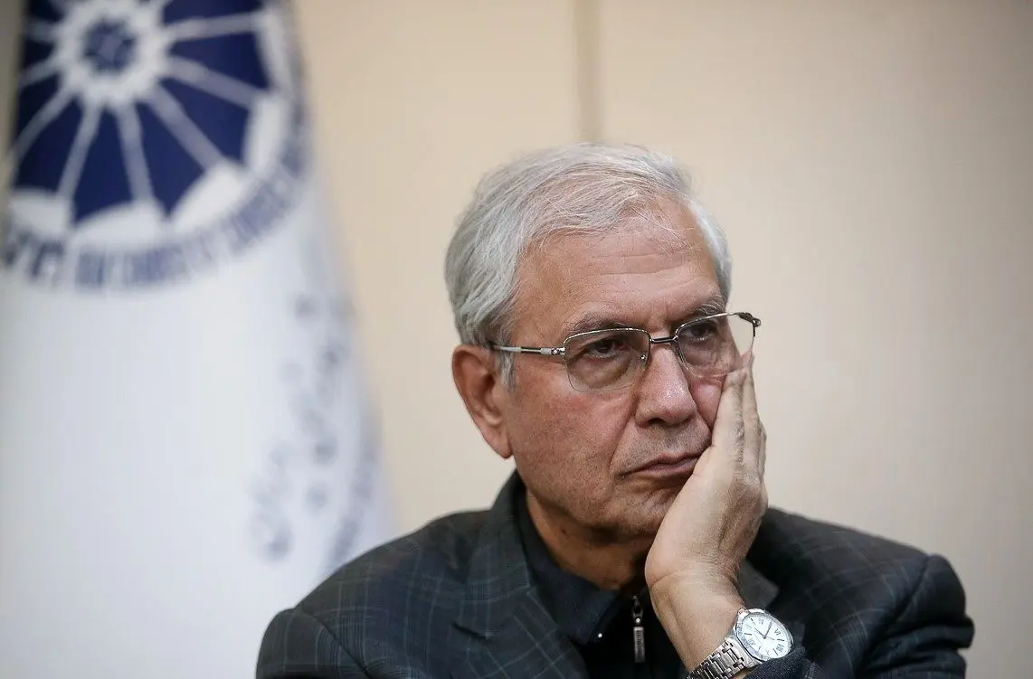 ربینی: فقط دولت نمی تواند جامعه را ادامه دهد