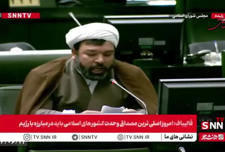 سبزیجات ، نماینده مجلس: اینجا یک خر است ، بوی کباب وجود ندارد