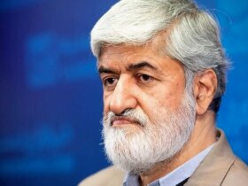 علی موتاهاری: چه کسی باید جلوی کسانی را که از شکم خود بیرون می آیند ، متوقف کند؟