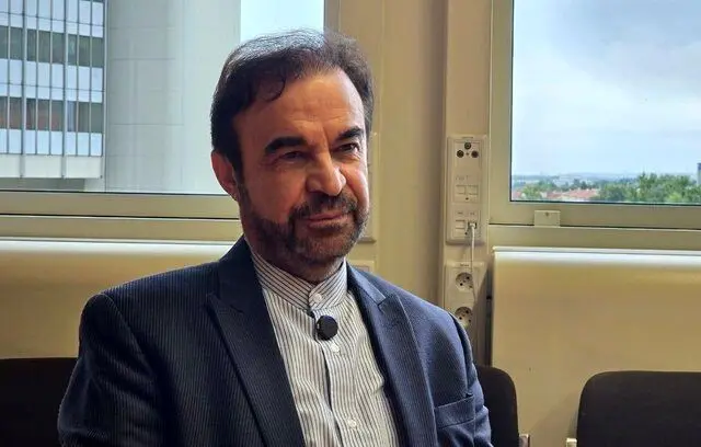 ما در حال تلاش برای تصویب تصمیم ایران در وین هستیم
