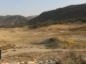 مرگ تدریجی سد پادشاه قاسم