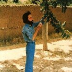 هیچ کس ، بیایید زندگی کنیم ، پس ما بین دو جلسه خواهیم بود!