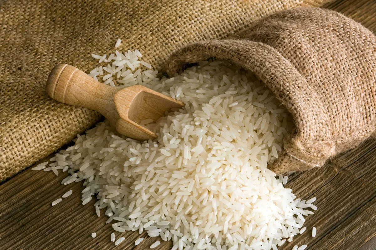 وزیر دادگستری: برنج پاکستانی باید 6000 پوند اما 6000 کیلو باشد 4 وزیر دادگستری: برنج پاکستانی باید 6000 پوند اما 6000 کیلو باشد