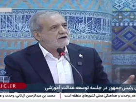 پزشکان: هفته ها به مدت هفته ها فکر کردم