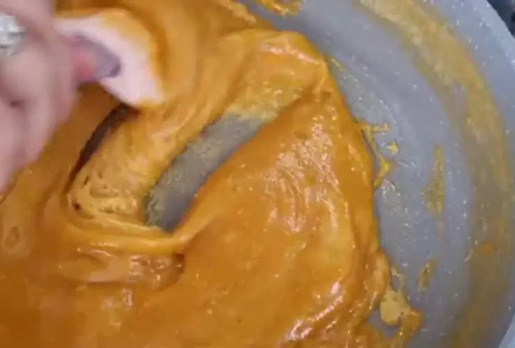 چگونه می توان خیلی سریع و راحت خانگی تهیه کرد!