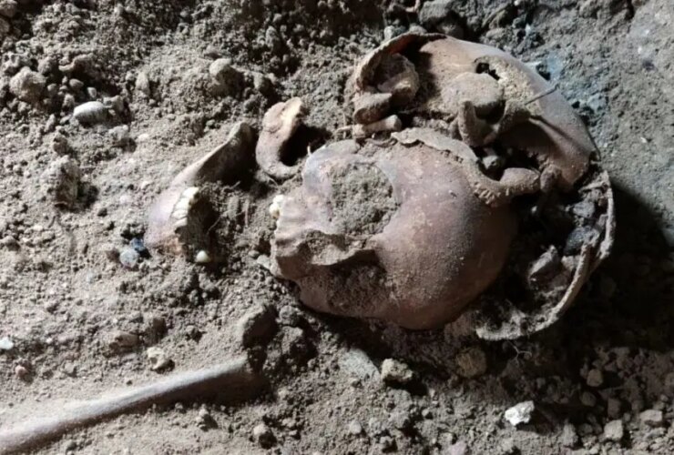 کشف اجساد مصدوم در ذخیره آدولف هیتلر