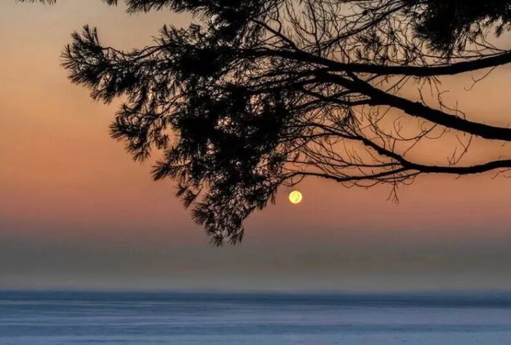 ساعت طلایی را بین 5 اکتبر - 5 نوامبر از دست ندهید! 33 فوق العاده