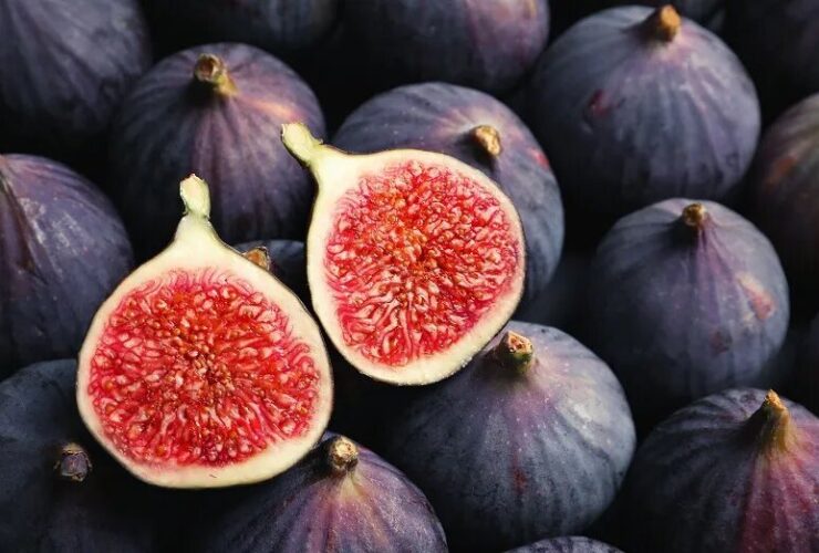 خواص انجیر برای مردان و زنان + ویژگی های درخت انجیر و خاصیت FIG