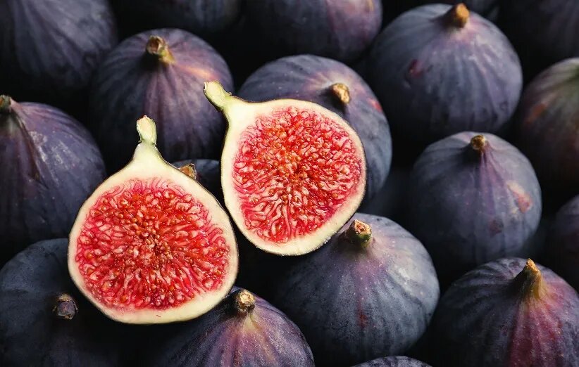 خواص انجیر برای مردان و زنان + ویژگی های درخت انجیر و خاصیت FIG