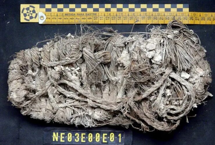 کشف یک پا 5 ساله در لانه خوشبختی! 17 صندل های 2 ساله