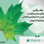 40. تهران بین المللی فیلم های کوتاه فیلم های مقاومت