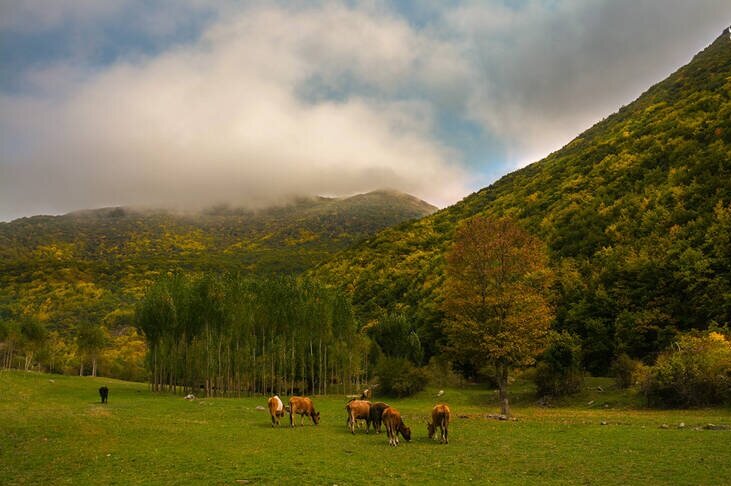 پنجره ای به مقصد پاییز / 1 رنگارنگ ایران برای پاییز و خاطرات