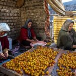 تصاویر پایتخت ایران کجاست؟
