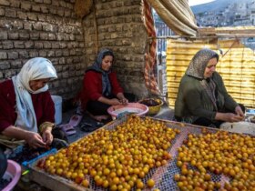 تصاویر پایتخت ایران کجاست؟