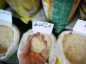 برنج پاکستانی رسما یک لوکس بود