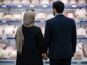 قیمت مرغ 2