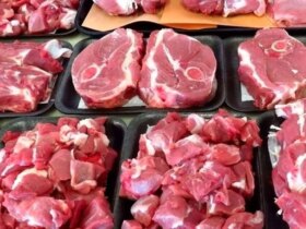 مقررات بازار تهران و آلبرت توزیع گوشت/قیمت