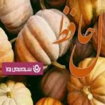 فال حافظ چهارشنبه ۲۳ مهر ؛ سرگذشتی بهتر از دیگران نداری