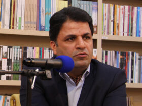 در نجیب