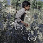 سیب قرمز ایرانی در لهستان ، اسپانیا ، آفریقای جنوبی و آلمان / "ترش" در چهار جشنواره فیلم جهانی