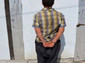 عموی 81 ساله با بیل در میمند فارس کشته شد
