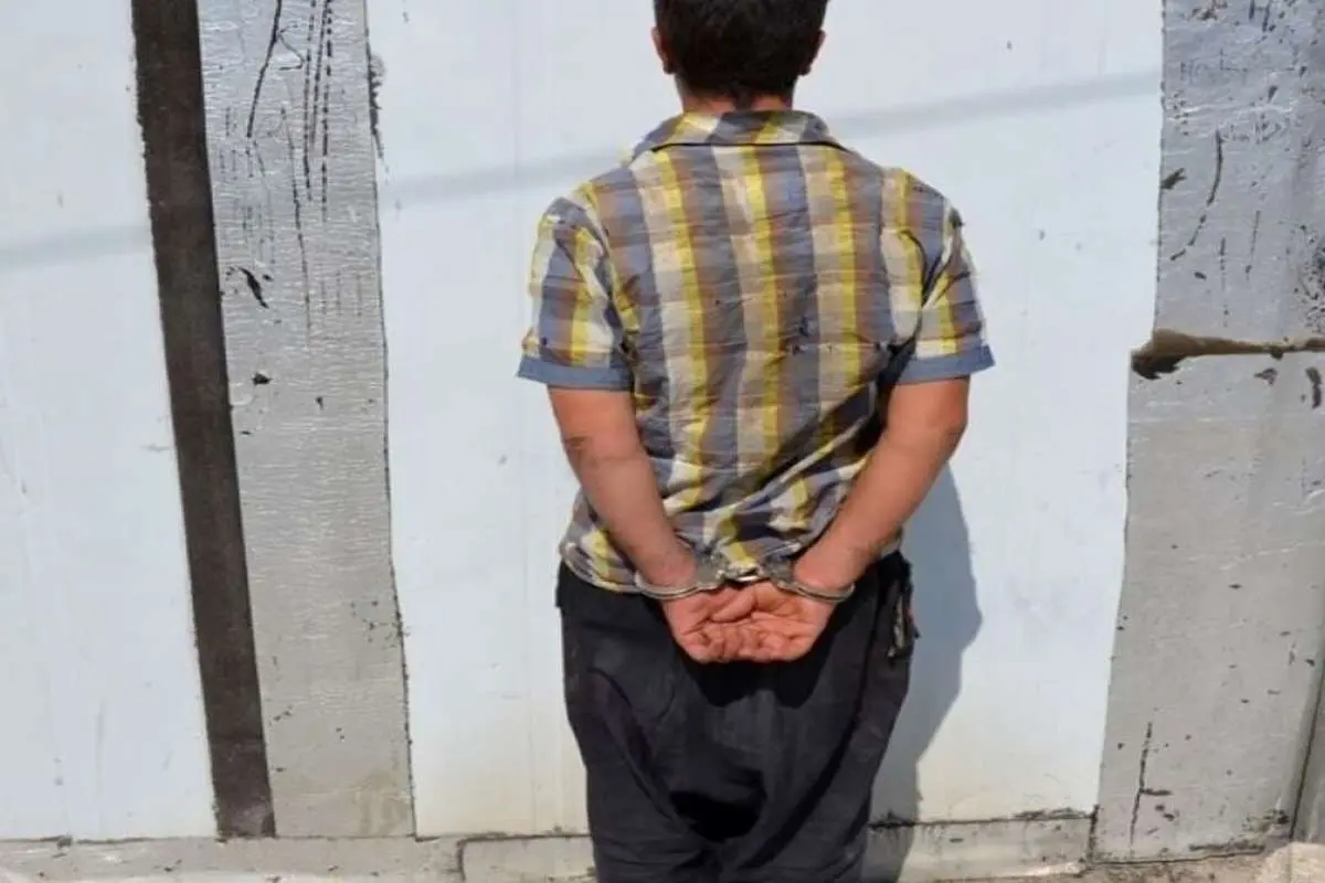 عموی 81 ساله با بیل در میمند فارس کشته شد