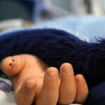 مرگ غم انگیز کودک در کولر آبی سطلی