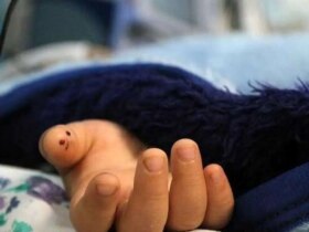 مرگ غم انگیز کودک در کولر آبی سطلی