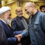 تصاویر; سردار