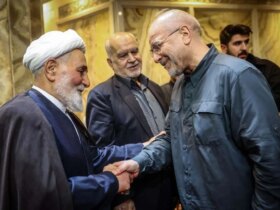 تصاویر; سردار