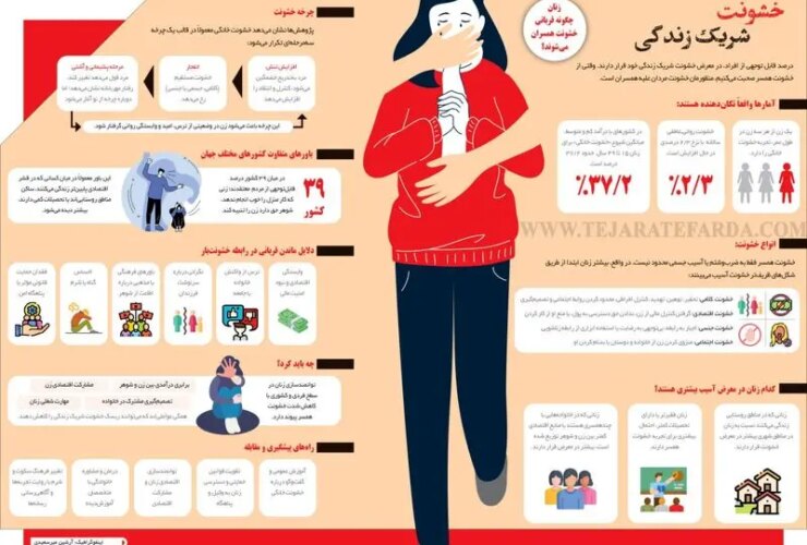 آمار تکان دهنده از خشونت مردان علیه همسرانشان/ زنان چگونه قربانی خشونت می شوند؟ 15 photo_2025-10-20_11-35-02