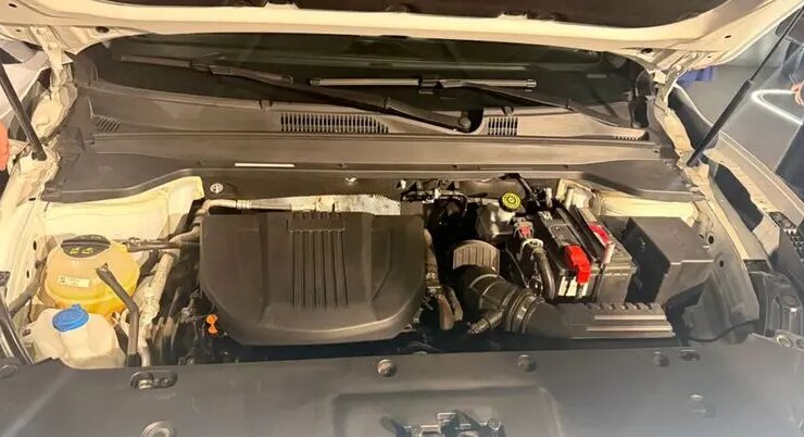 فنی لاماری نئو