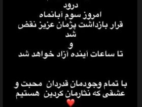 پژمان جمشیدی هنوز آزاد نشده است/ آزادی او همچنان در حال رصد است + ماجرای مامک جمشیدی 8 پژمان جمشیدی هنوز آزاد نشده است/ آزادی او همچنان در حال رصد است + ماجرای مامک جمشیدی