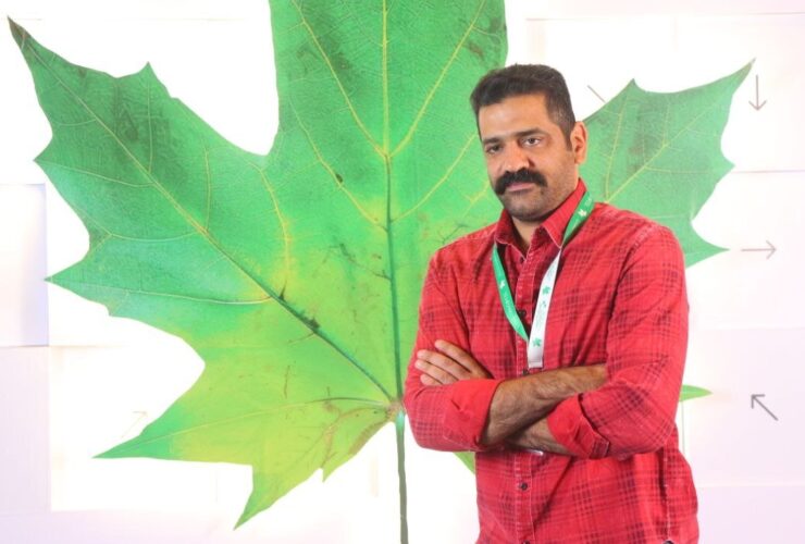 موسیقی فراموش شده جنوب در مسیر ثبت میراث شنیداری ایران