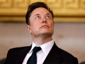 "گروکی پدیا": دانشنامه ای که توسط ایلان ماسک راه اندازی شد 8 "گروکی پدیا": دانشنامه ای که توسط ایلان ماسک راه اندازی شد