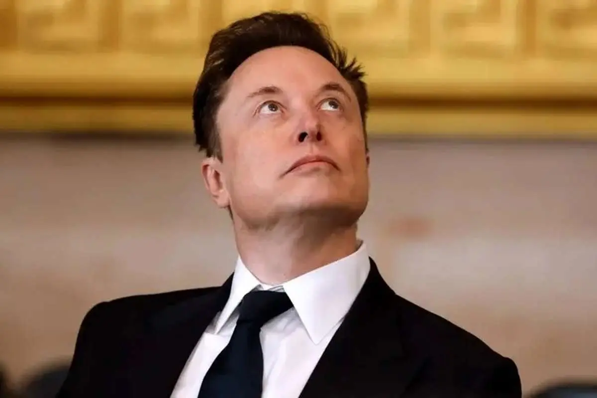 "گروکی پدیا": دانشنامه ای که توسط ایلان ماسک راه اندازی شد 1 "گروکی پدیا": دانشنامه ای که توسط ایلان ماسک راه اندازی شد