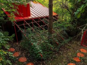 جادوی معماری؛ رنگ، چوب و فلز در قلب ورشو 8 جادوی معماری؛ رنگ، چوب و فلز در قلب ورشو