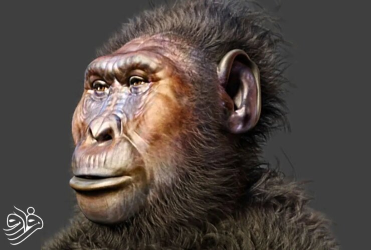 دست های شگفت انگیز با ویژگی های گوریل و انسان را کشف کنید! 25 دست های شگفت انگیز با ویژگی های گوریل و انسان را کشف کنید!